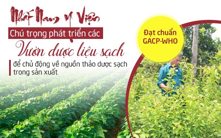 Trung tâm Da liễu Đông y Việt Nam chú trọng đầu tư vào các vườn dược liệu sạch đạt chuẩn GACP-WHO